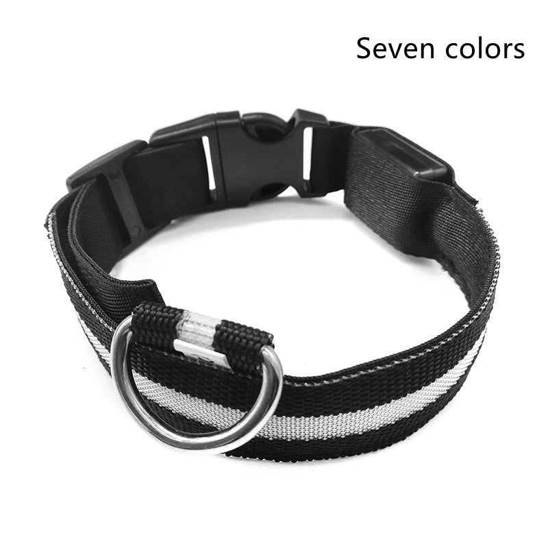 SafeShine – Collier Flash Pour Animaux Lumineux Et Sécurisé