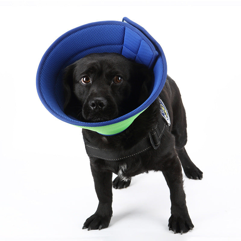 PetGuardian – Col Protecteur Anti-Grattage Confortable