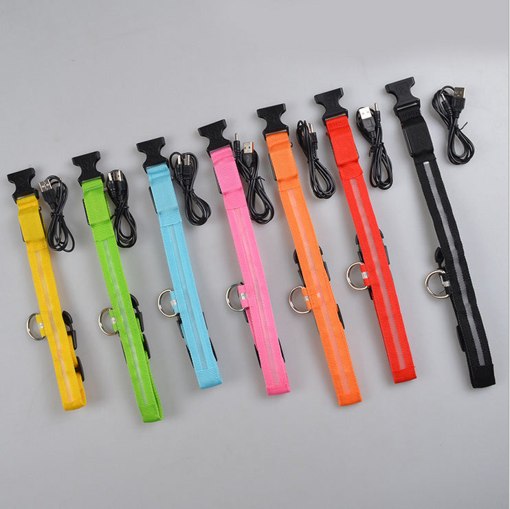SafeShine – Collier Flash Pour Animaux Lumineux Et Sécurisé