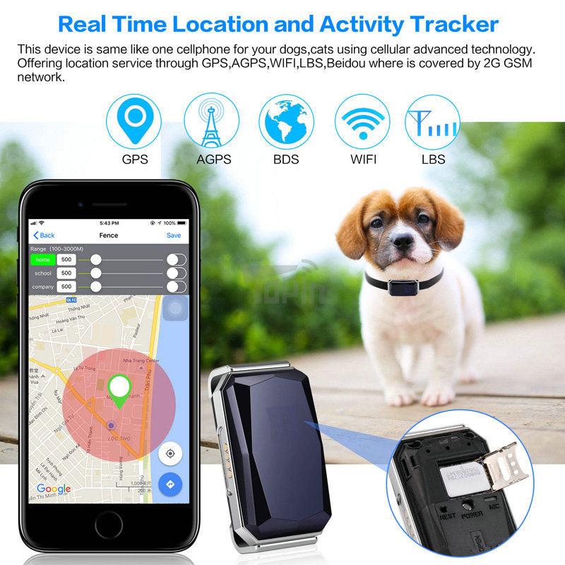 Gps Tracker Pour Animaux – Suivi en Temps Réel Précis