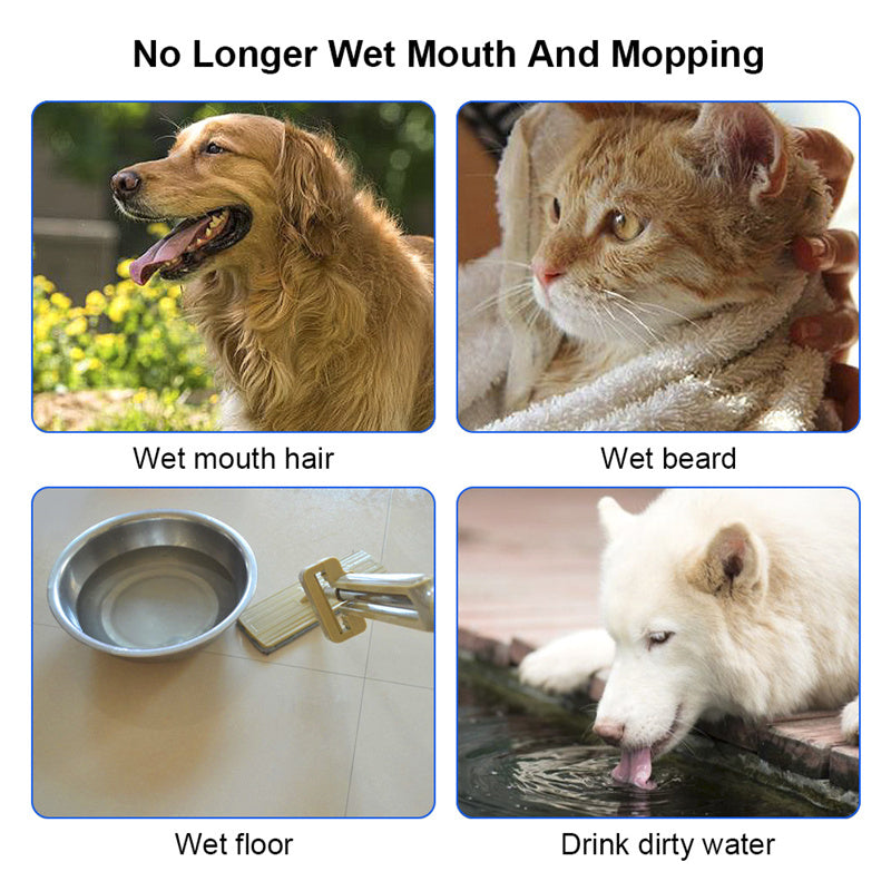 AquaPet Flow - Bol D'Eau Flottant Anti-Débordement Pour Animaux