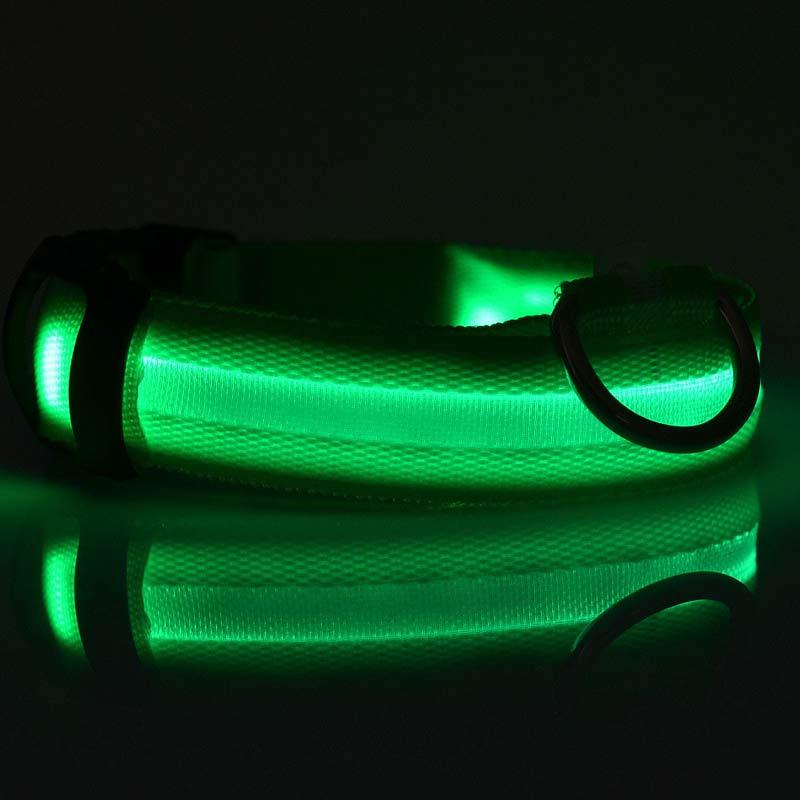 SafeShine – Collier Flash Pour Animaux Lumineux Et Sécurisé