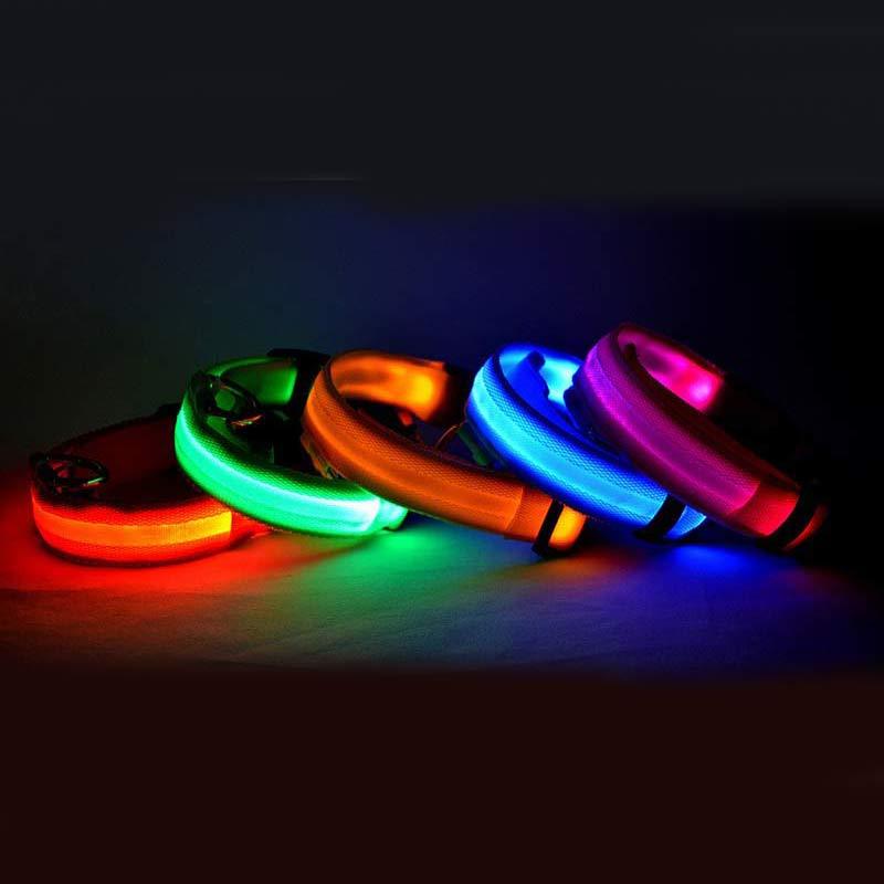 SafeShine – Collier Flash Pour Animaux Lumineux Et Sécurisé