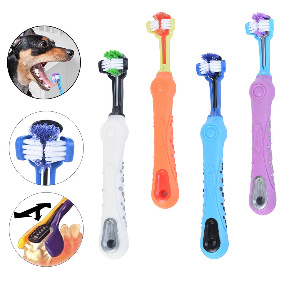 DENTAL-PAW – Brosse 3 Faces pour Soin Dentaire Animaux