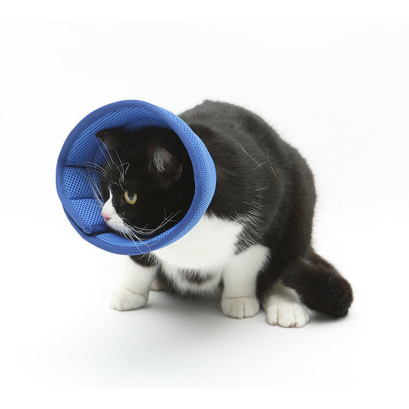 PetGuardian – Col Protecteur Anti-Grattage Confortable