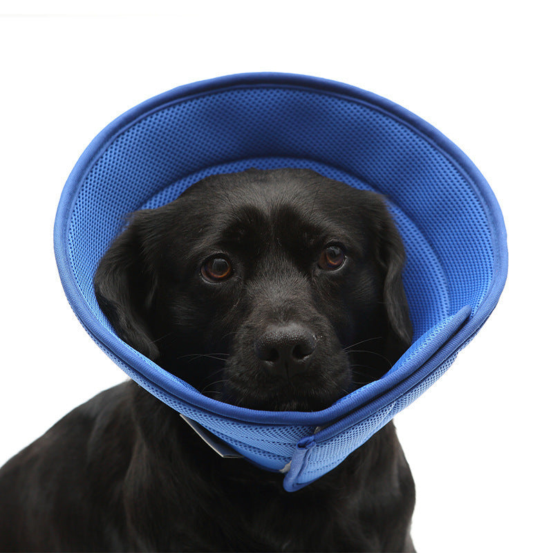 PetGuardian – Col Protecteur Anti-Grattage Confortable