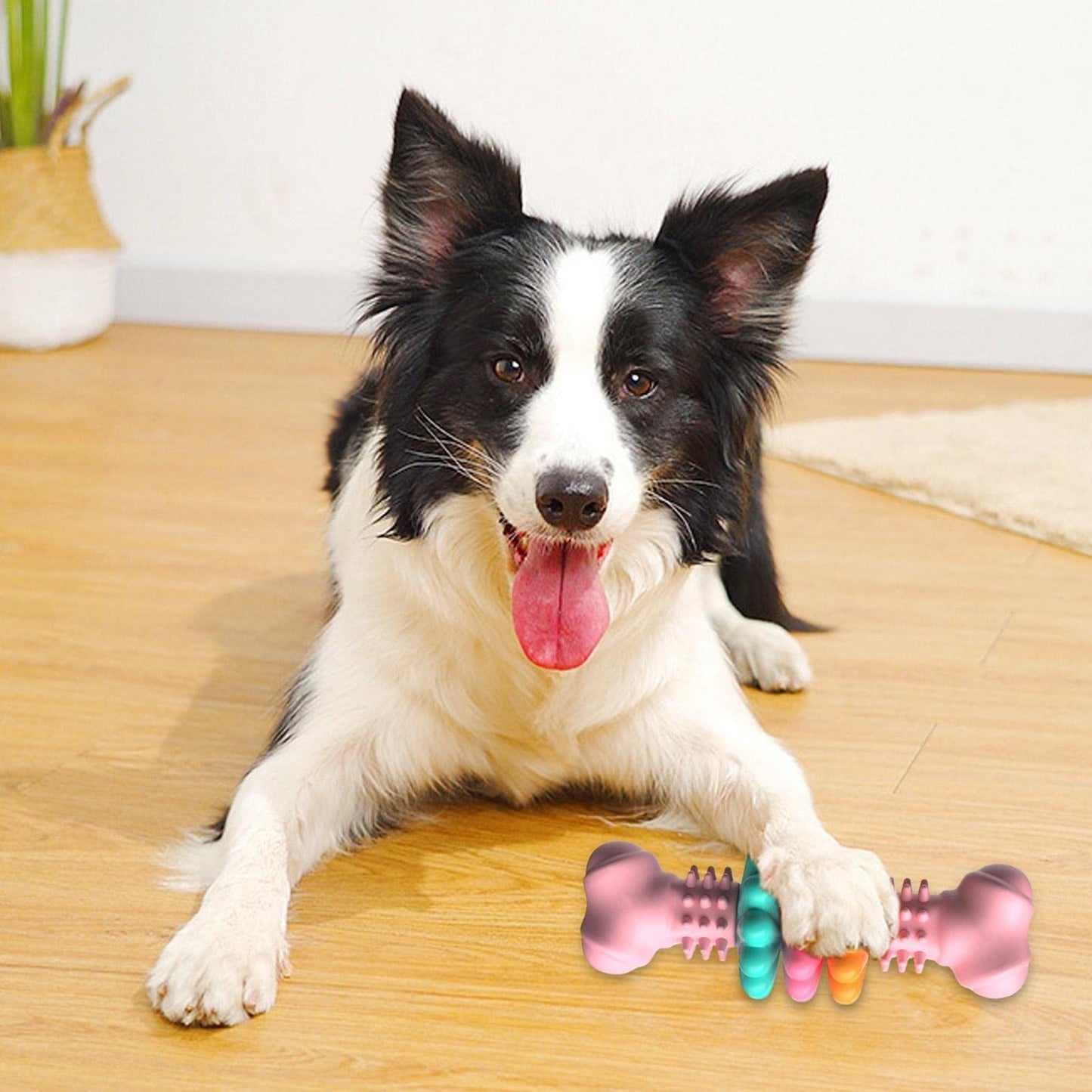 DogChewMax – Os à Mâcher Ultra-Résistant Pour Chiens