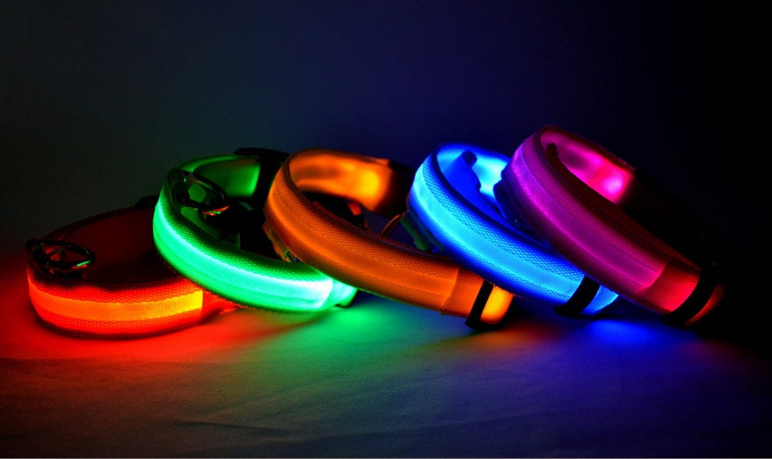 SafeShine – Collier Flash Pour Animaux Lumineux Et Sécurisé