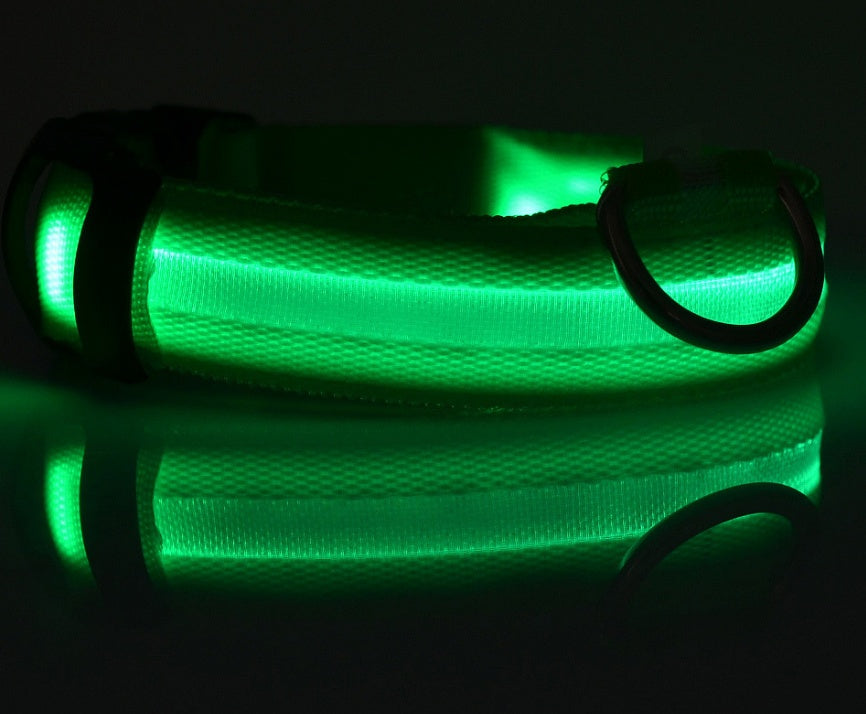 SafeShine – Collier Flash Pour Animaux Lumineux Et Sécurisé