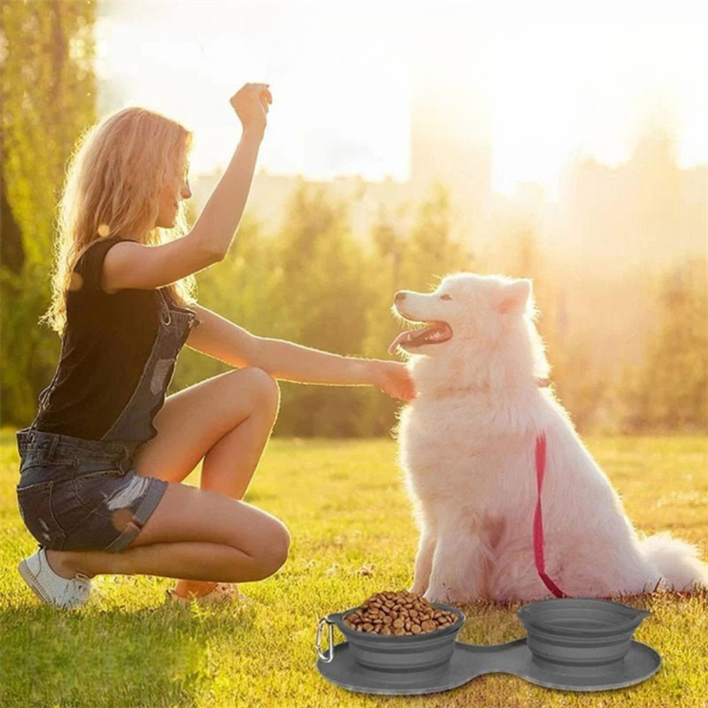 NomadPet– gamelle pliable qui suit votre compagnon partout