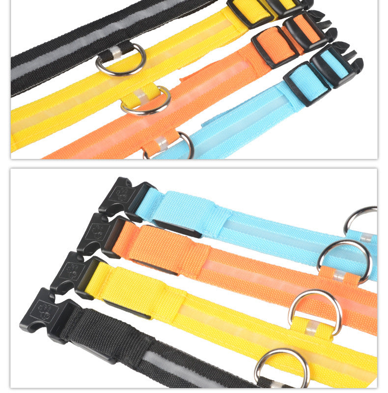SafeShine – Collier Flash Pour Animaux Lumineux Et Sécurisé