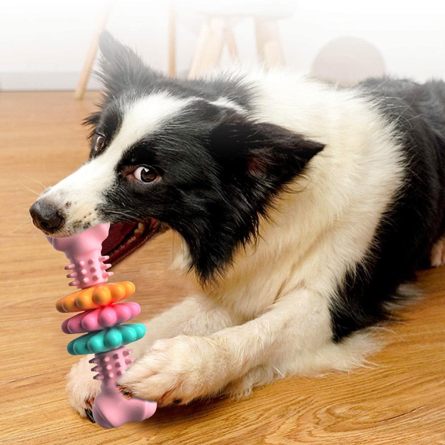 DogChewMax – Os à Mâcher Ultra-Résistant Pour Chiens