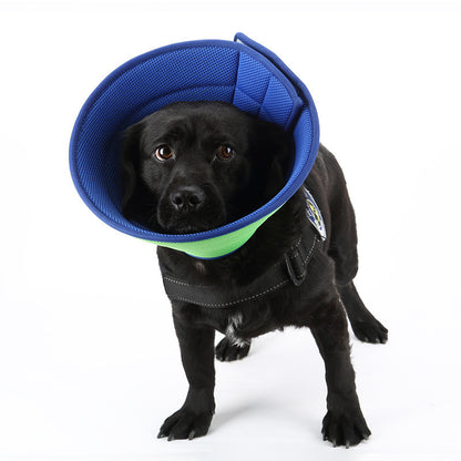 PetGuardian – Col Protecteur Anti-Grattage Confortable