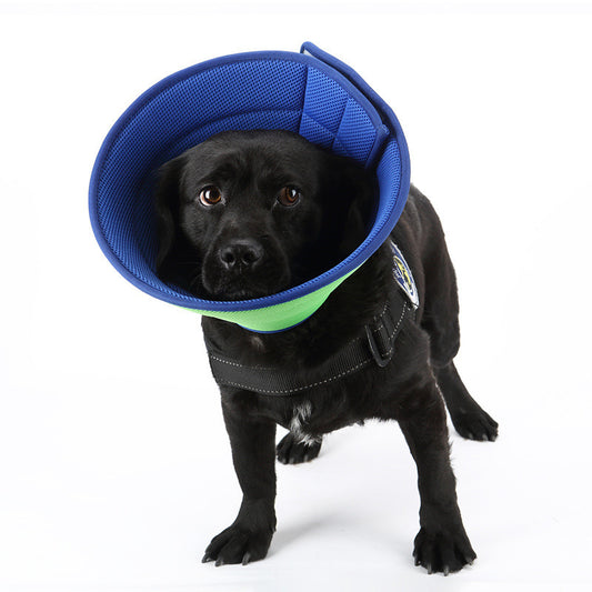 PetGuardian – Col Protecteur Anti-Grattage Confortable