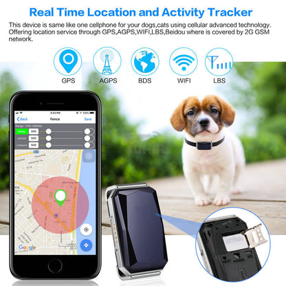 Gps Tracker Pour Animaux – Suivi en Temps Réel Précis