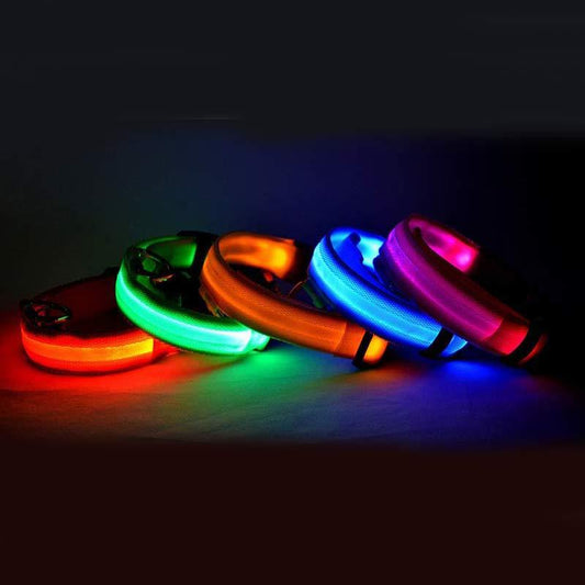 SafeShine – Collier Flash Pour Animaux Lumineux Et Sécurisé