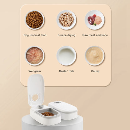 PetFeed Timer - Distributeur Automatique de Nourriture Automatique