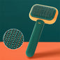 DetanglePaws – Peigne Anti-Nœuds Pour Chat Et Chien