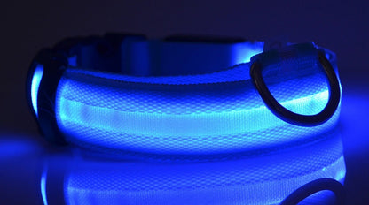 SafeShine – Collier Flash Pour Animaux Lumineux Et Sécurisé