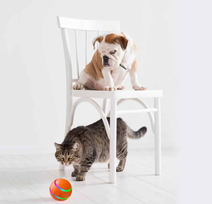WickedPlay – Balle Intelligente Automatique pour Chat & Chien