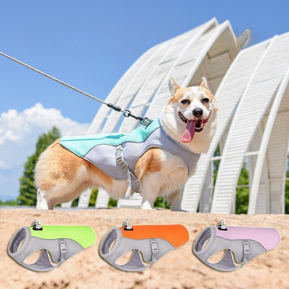 Cooling Vest for Dogs