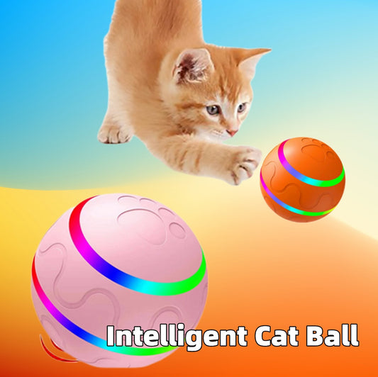 WickedPlay – Balle Intelligente Automatique pour Chat & Chien
